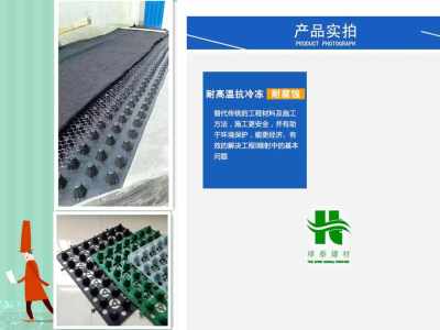 綠泰廠家提供專(zhuān)業(yè)技術(shù)服務(wù) 棗莊車(chē)庫(kù)排水板及車(chē)庫(kù)樓頂解決方案今日?qǐng)?bào)價(jià)